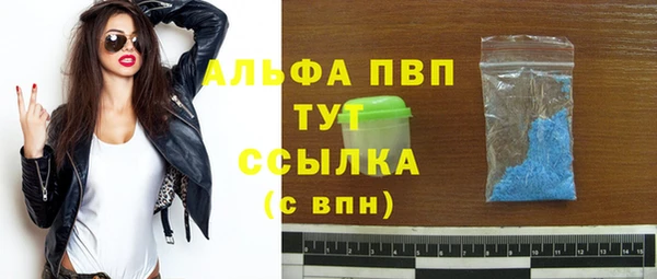молекула духа Богородицк