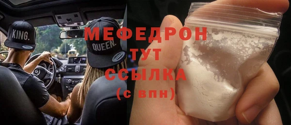 молекула духа Богородицк