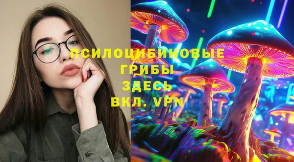 молекула духа Богородицк