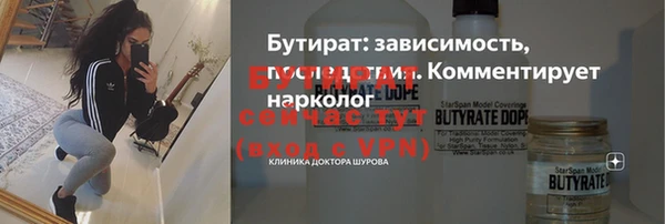 молекула духа Богородицк