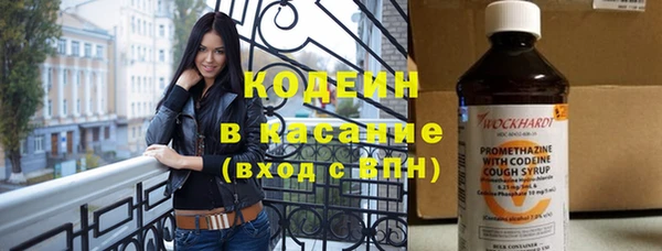 молекула духа Богородицк