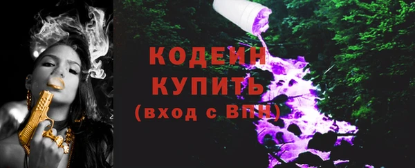 молекула духа Богородицк