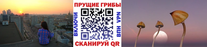 наркотики  Бежецк  Галлюциногенные грибы MAGIC MUSHROOMS 